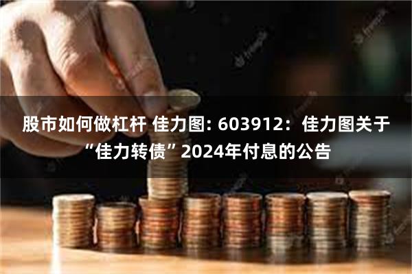 股市如何做杠杆 佳力图: 603912：佳力图关于“佳力转债”2024年付息的公告