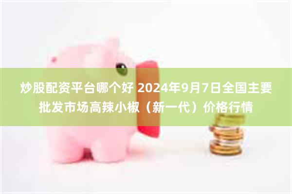 炒股配资平台哪个好 2024年9月7日全国主要批发市场高辣小椒（新一代）价格行情