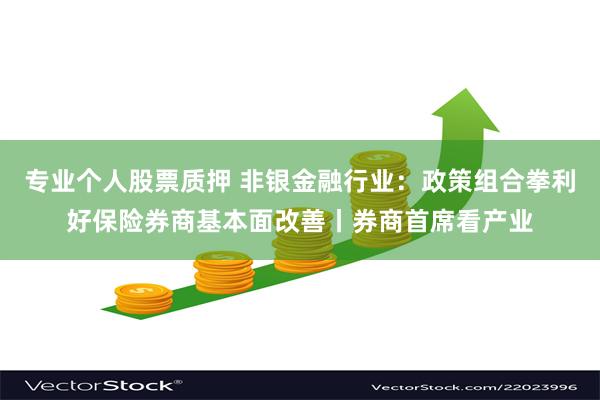 专业个人股票质押 非银金融行业：政策组合拳利好保险券商基本面改善丨券商首席看产业